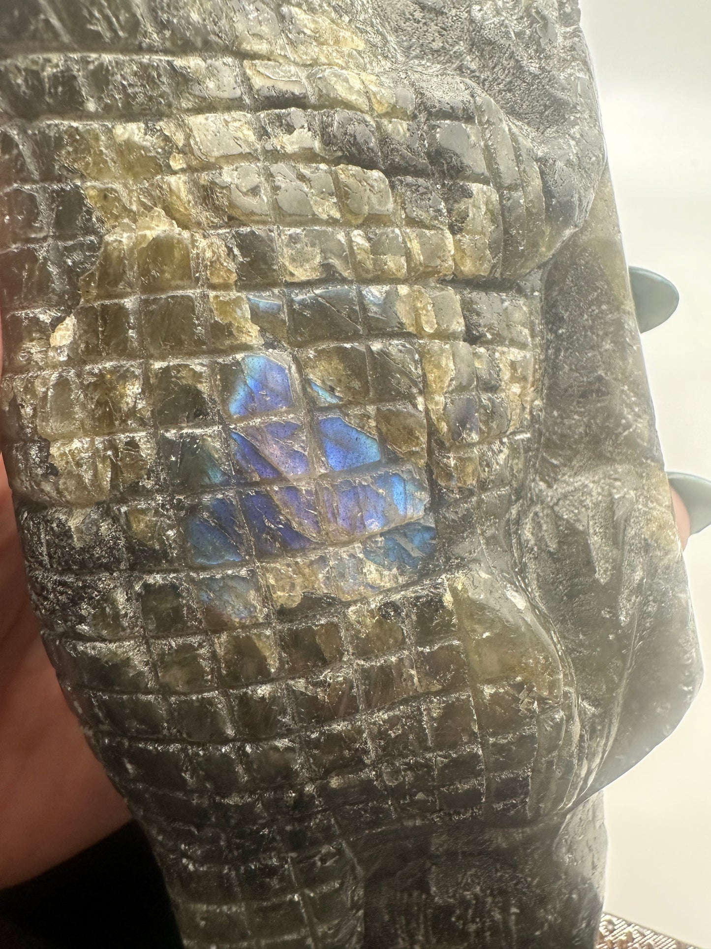 Large Labradorite Alligator Carving