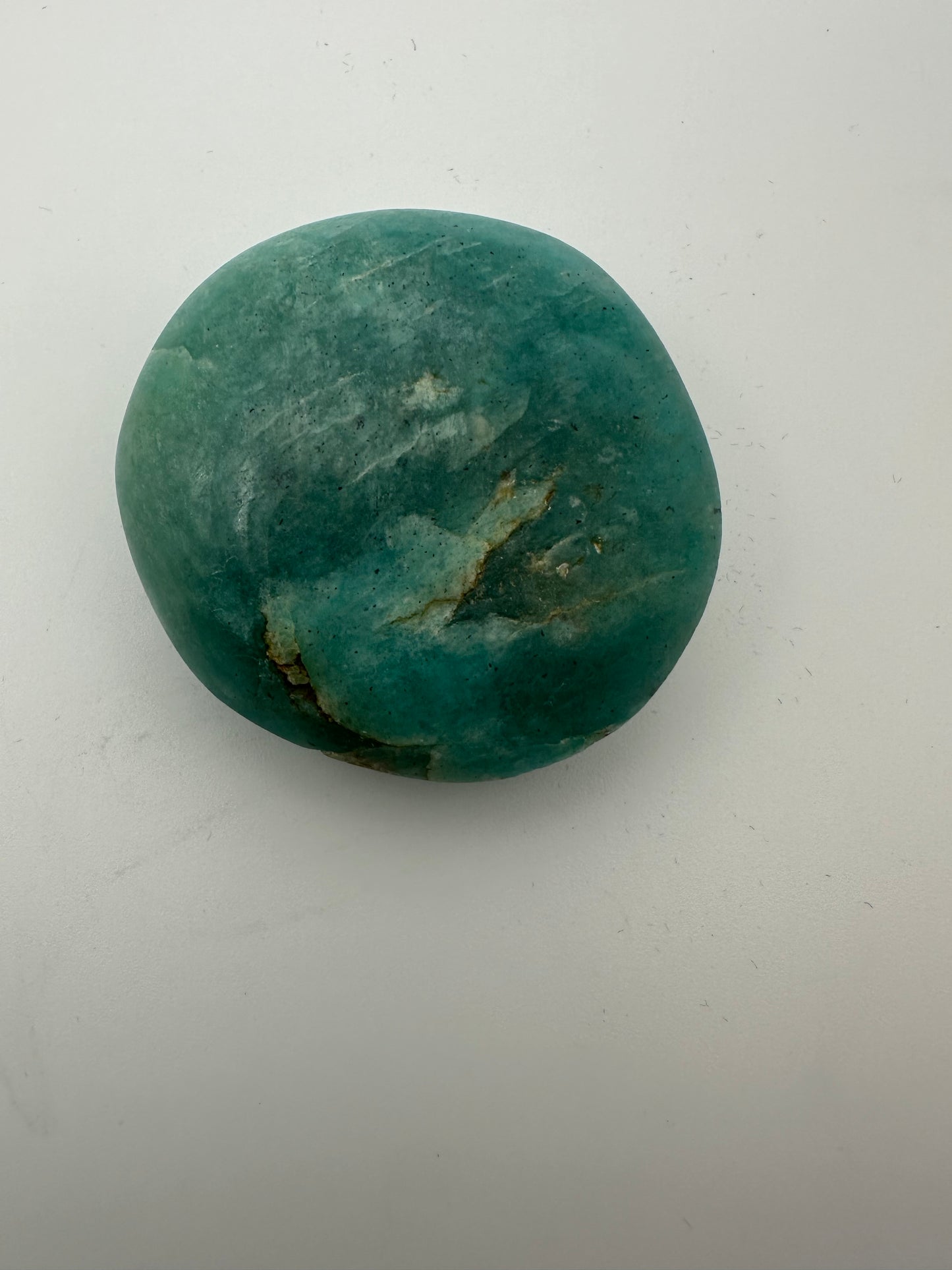 Large Amazonite Palm