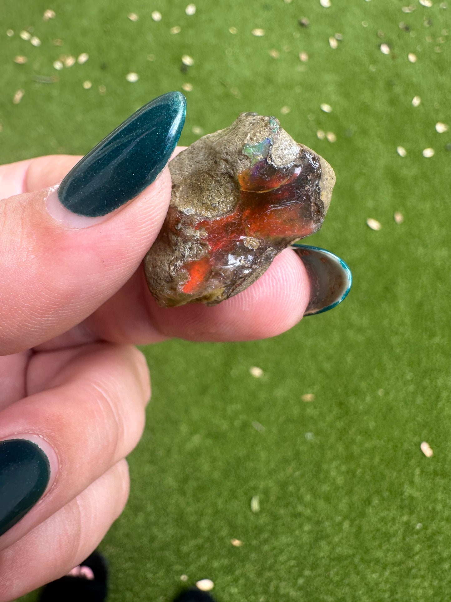 Ethiopian Water Opal D