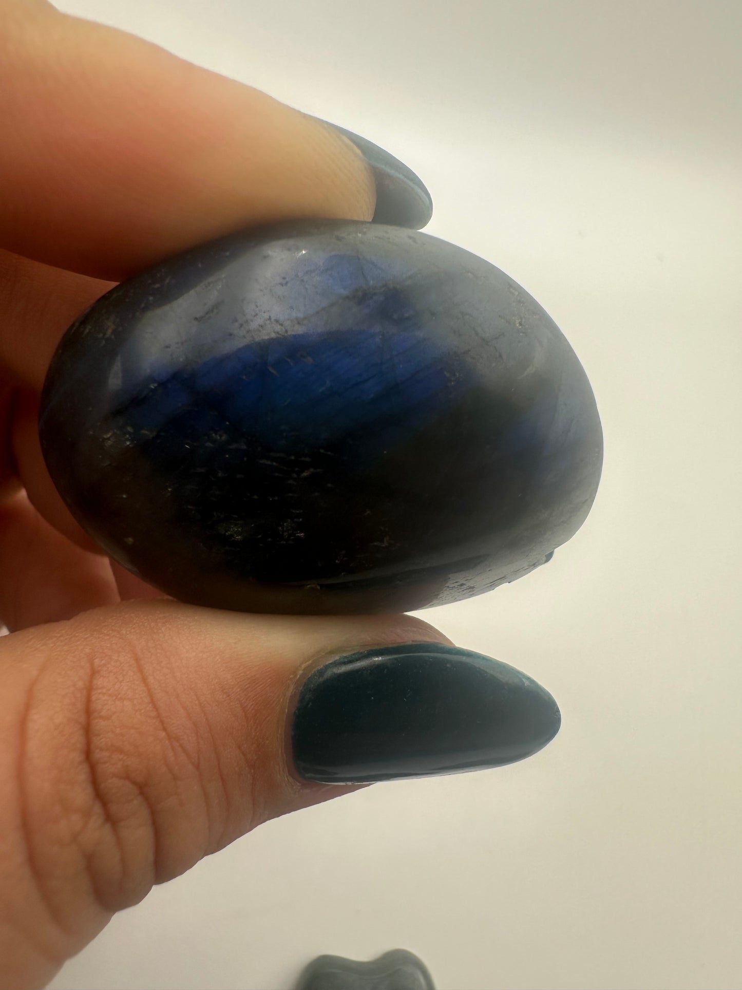 Labradorite Palm