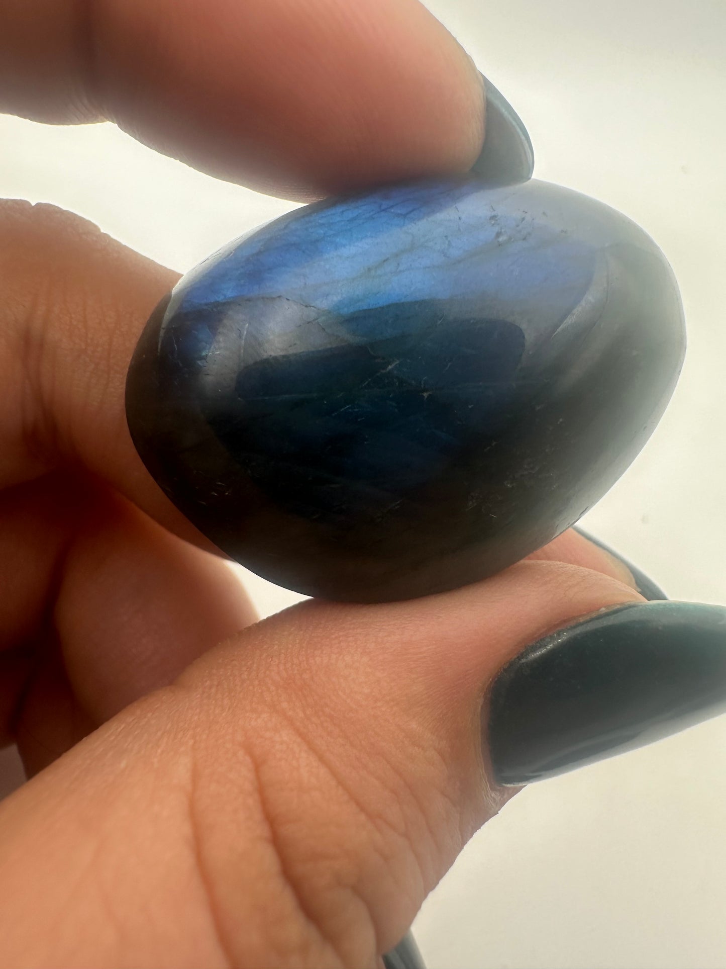 Labradorite Palm