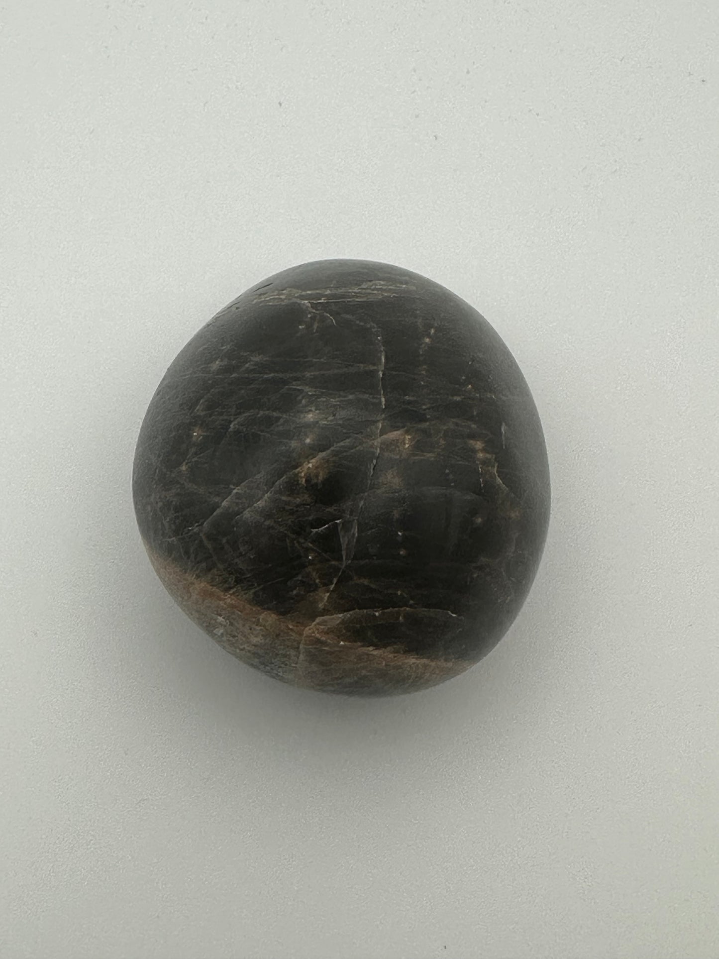 Black Moonstone Palm