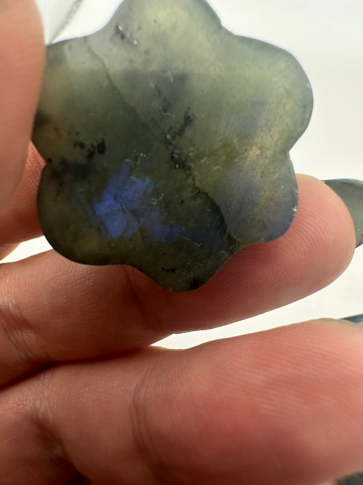 Labradorite Paw Print